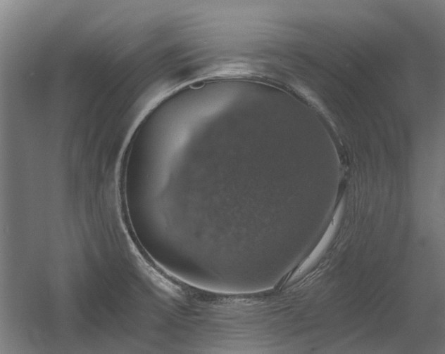 X0000058781475200509301102