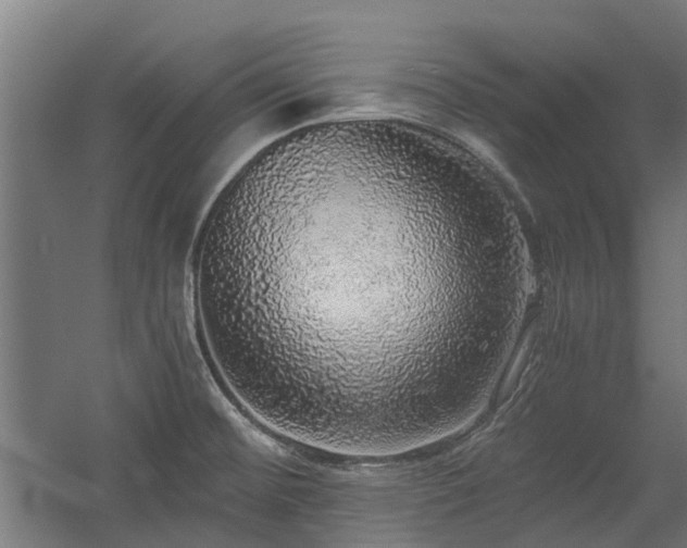 X0000058781476200509301102