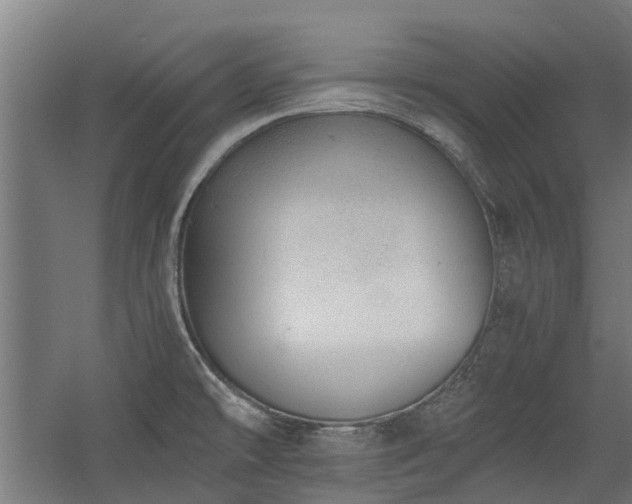 X0000058781478200509301102