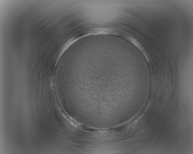 X0000058781481200509301102