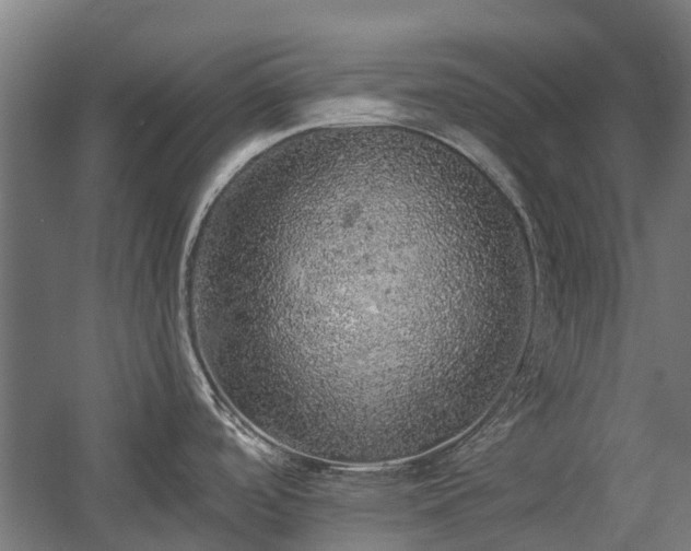 X0000058781488200509301101