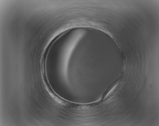 X0000058781515200509301101
