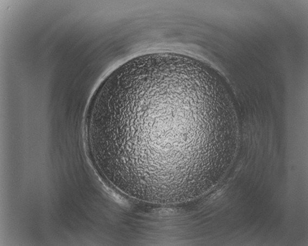 X0000058781517200509301101