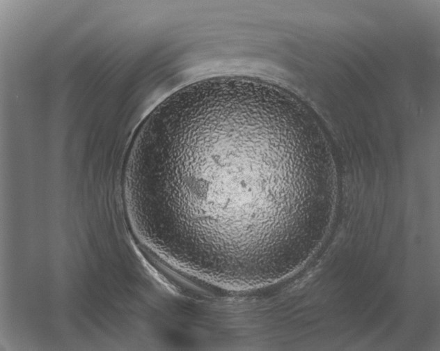 X0000058781521200509301101