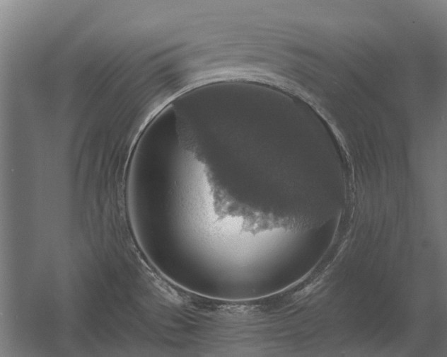 X0000058781529200509301101