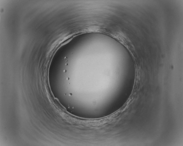 X0000058780001200510031032