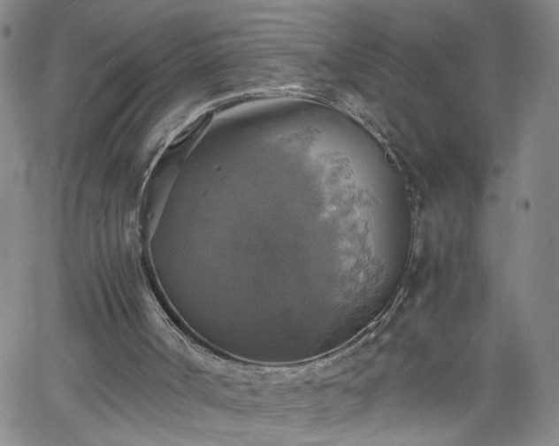 X0000058780002200510031032