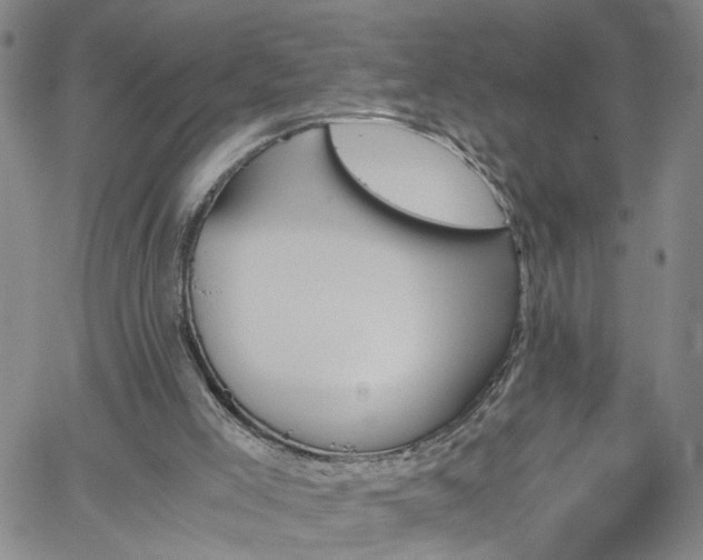 X0000058780005200510031032