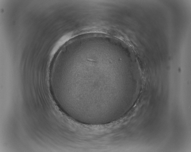 X0000058780006200510031032