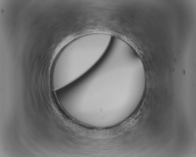 X0000058780008200510031032