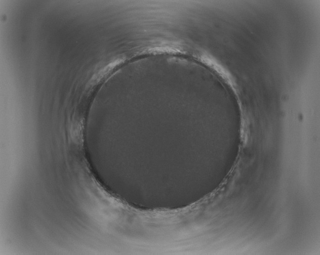 X0000058780009200510031032