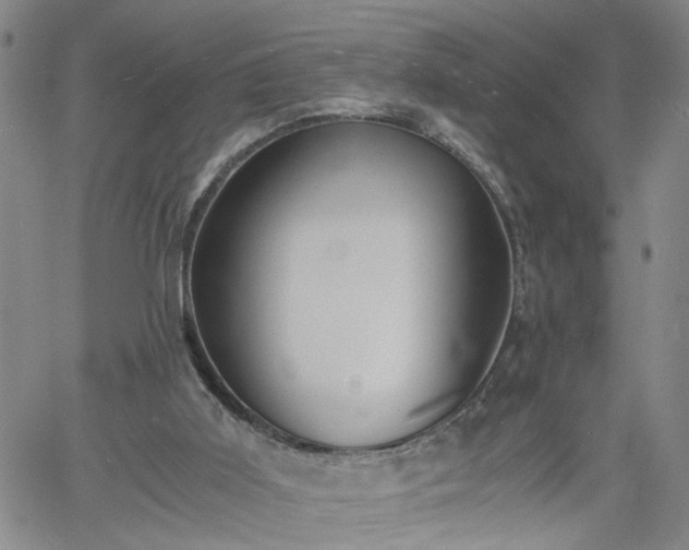 X0000058780011200510031032