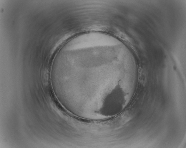 X0000058780012200510031032