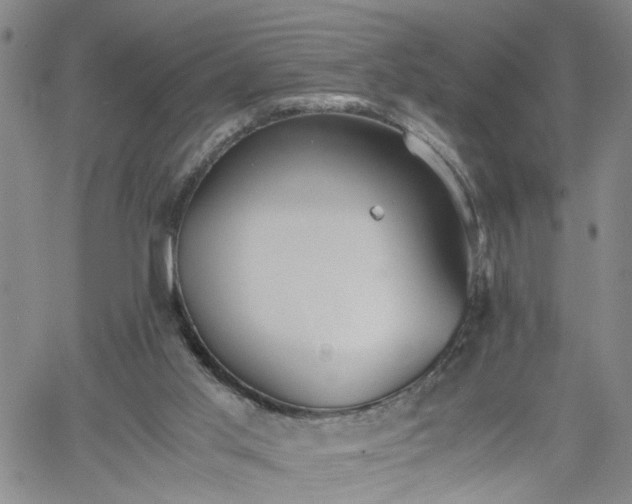 X0000058780013200510031032