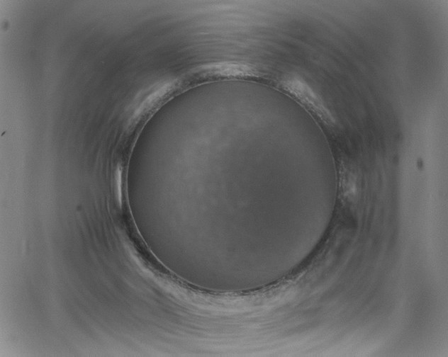 X0000058780014200510031032