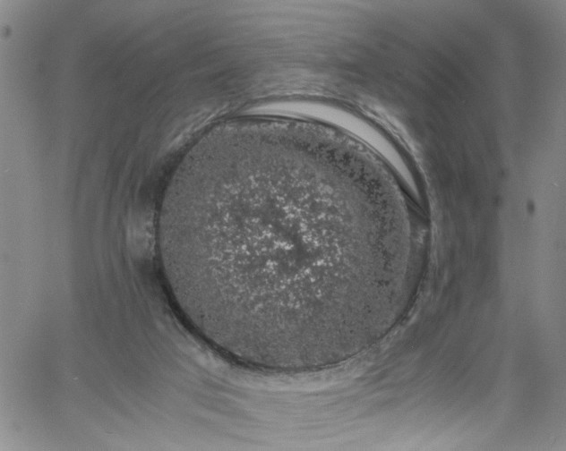 X0000058780017200510031032