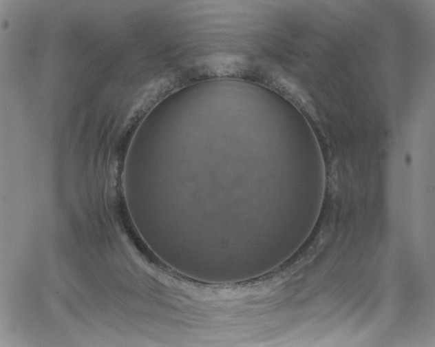 X0000058780018200510031032