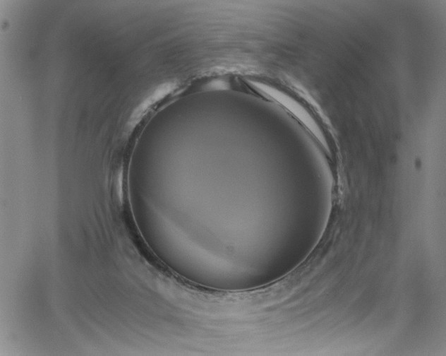 X0000058780019200510031032