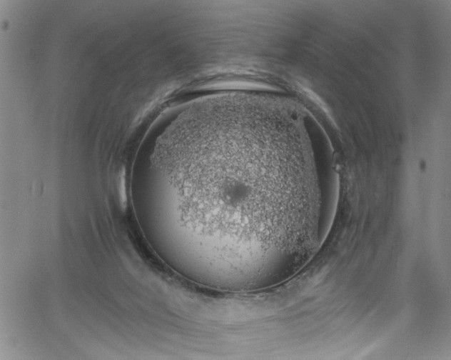 X0000058780020200510031032