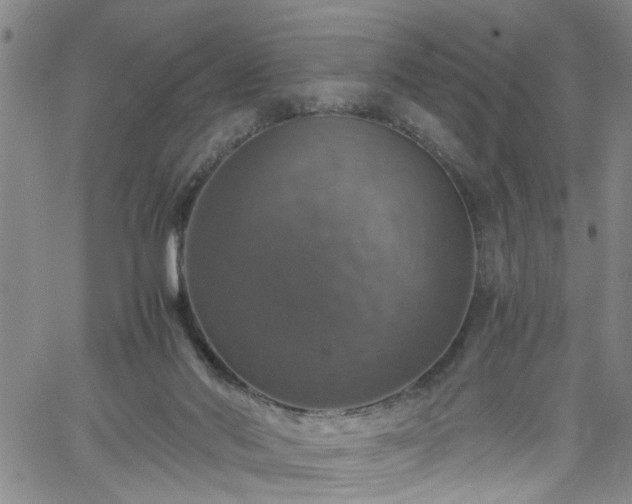 X0000058780022200510031032