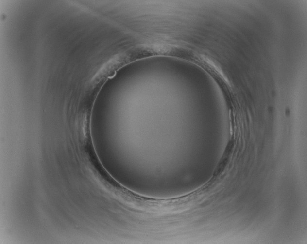 X0000058780023200510031032