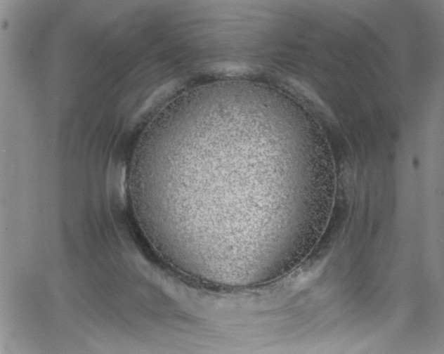 X0000058780024200510031032