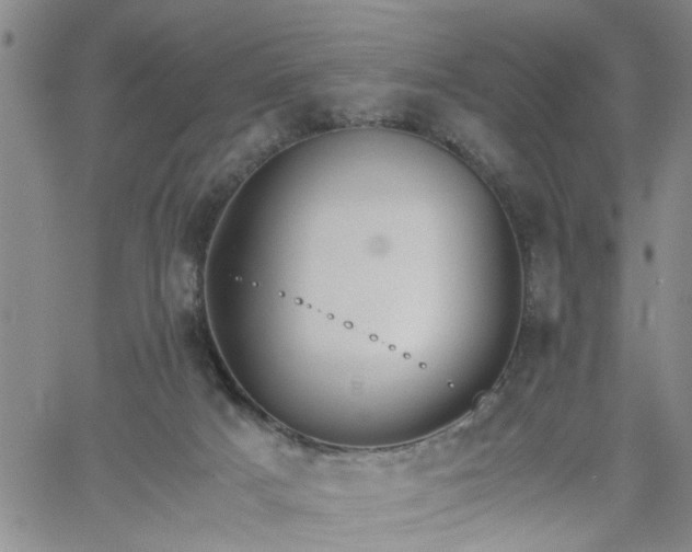 X0000058780025200510031032