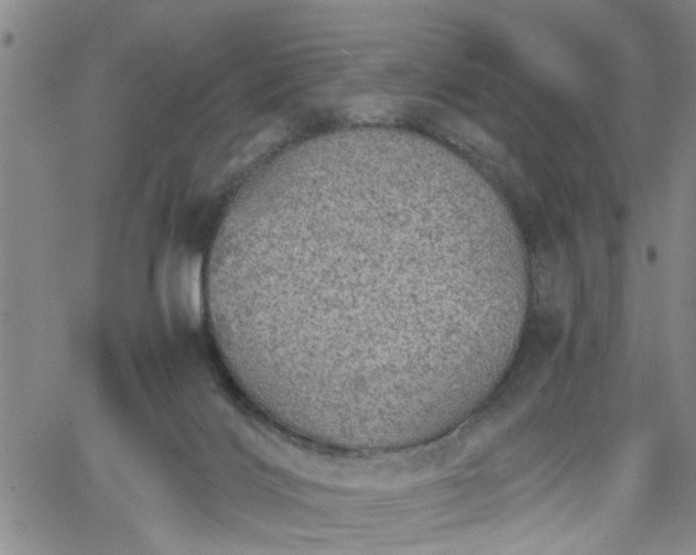 X0000058780028200510031032