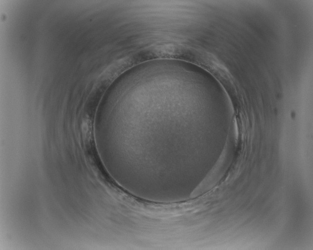 X0000058780029200510031032