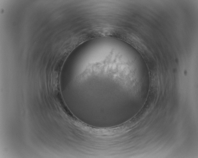 X0000058780030200510031032