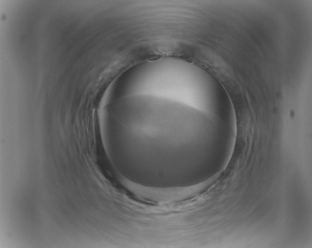 X0000058780031200510031032