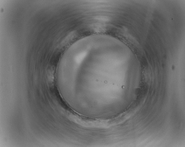 X0000058780032200510031032