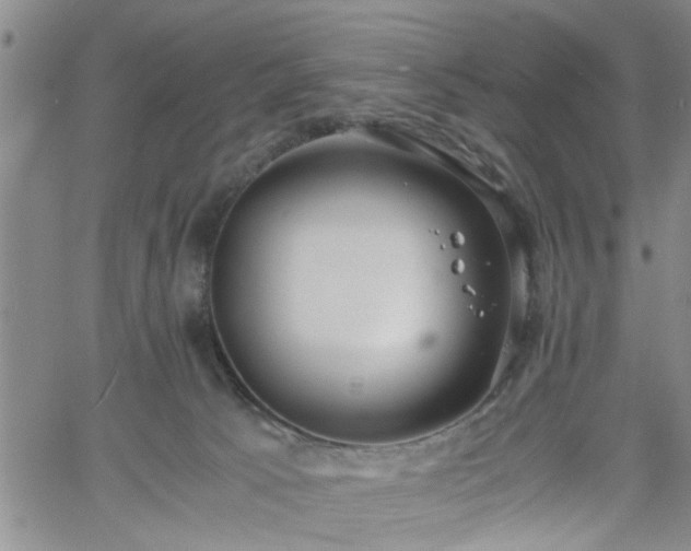 X0000058780033200510031032