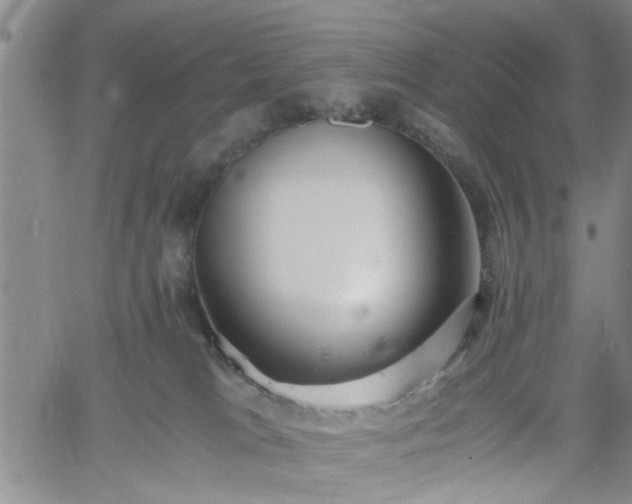 X0000058780037200510031031