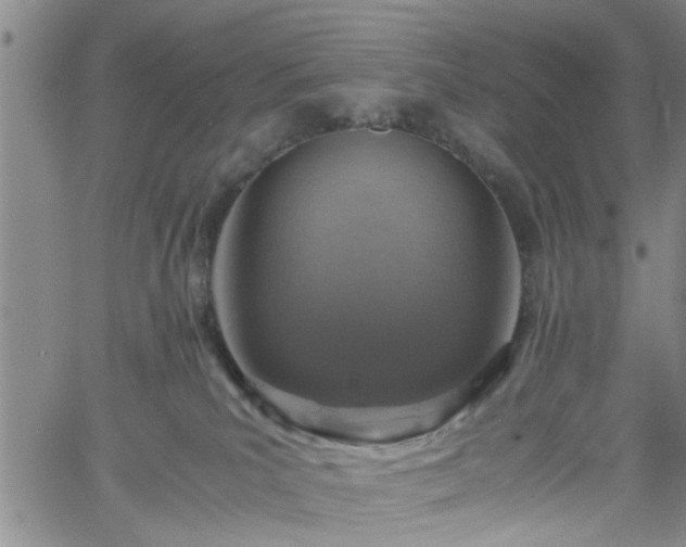 X0000058780039200510031031