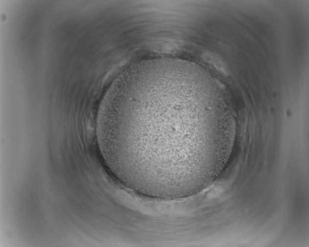 X0000058780040200510031031