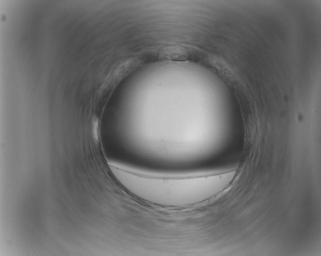 X0000058780041200510031031