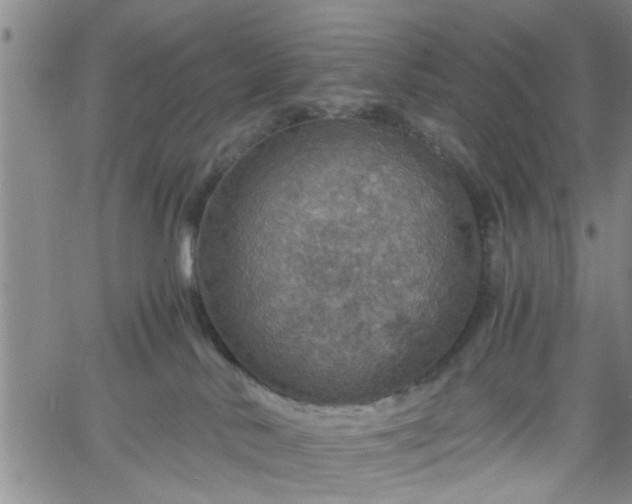 X0000058780042200510031031