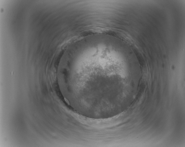 X0000058780043200510031031