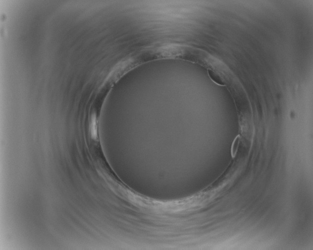 X0000058780046200510031031