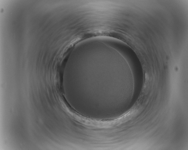 X0000058780048200510031031