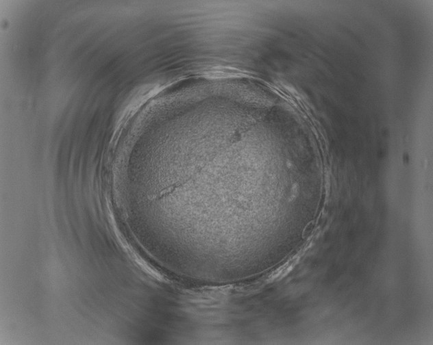 X0000058780049200510031030