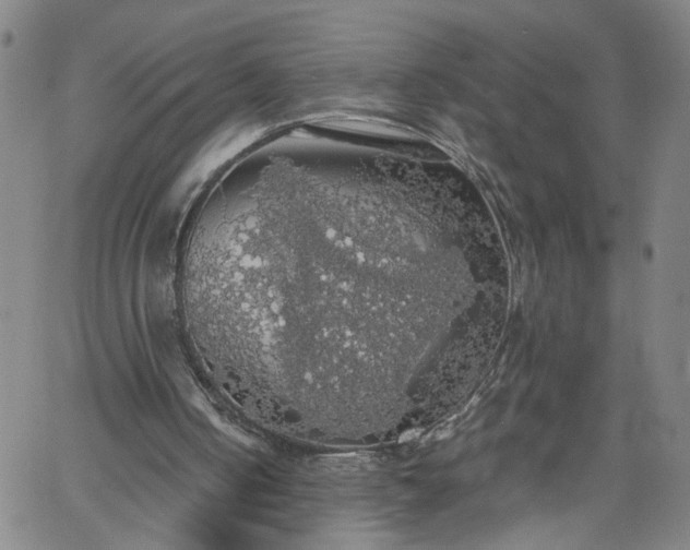 X0000058780050200510031031