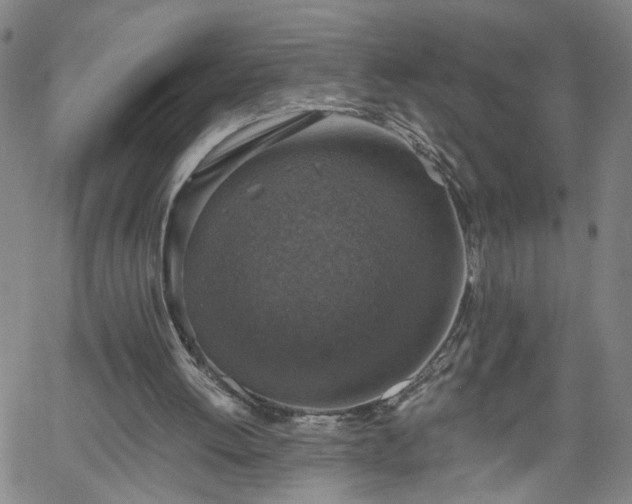 X0000058780052200510031031