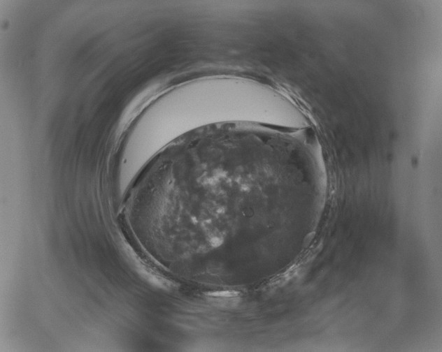 X0000058780053200510031031