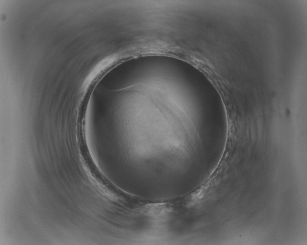 X0000058780054200510031031