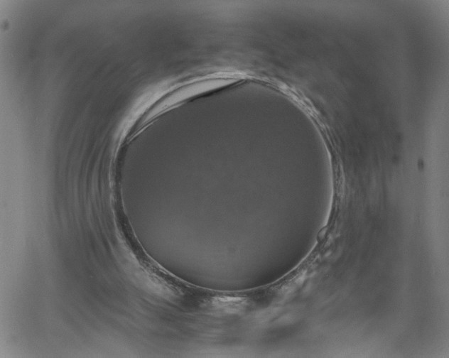 X0000058780055200510031031