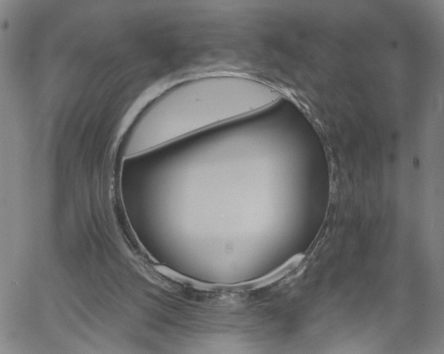 X0000058780056200510031031