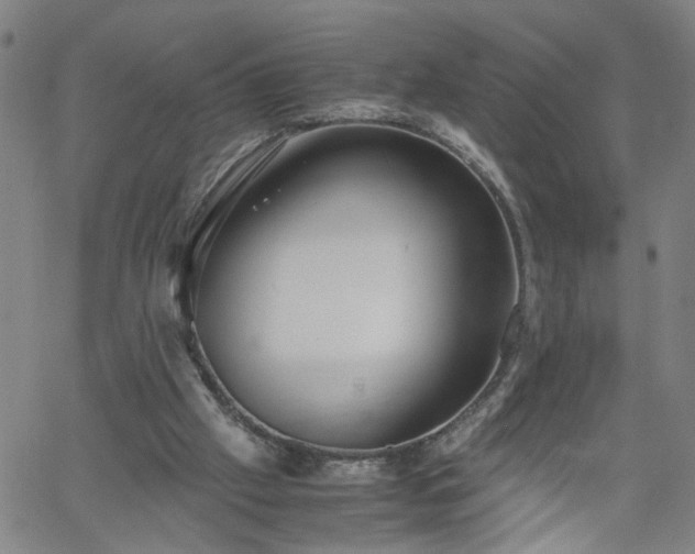 X0000058780057200510031031