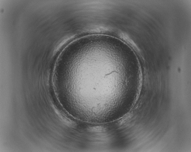 X0000058780058200510031031